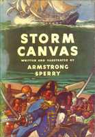 Storm Canvas dustjacket