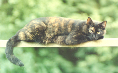 Imogen, circa 1987/8